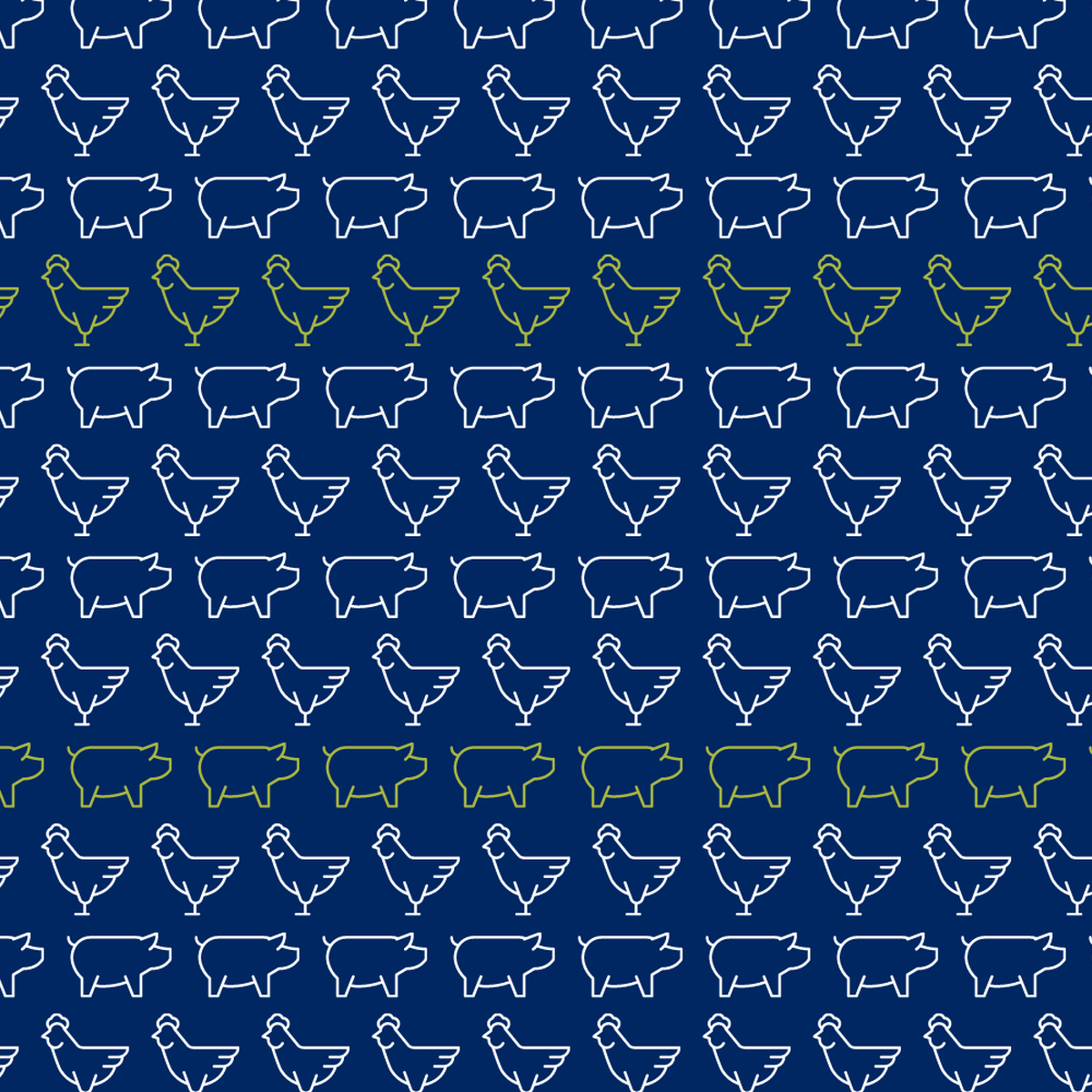 Ff chickenpigbackground